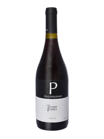 Pencopolitano, Pedro Parra, Itata Valley, CHI