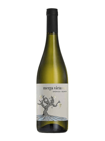 Pošip, Merga Victa, Black Island Winery, Korčula, CRO